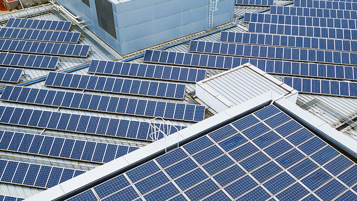 Bekijk de afbeelding in een volledig scherm